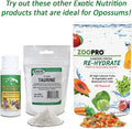Exotic Nutrition Opossum Complete - Nutritionally Complete Healthy Pellet Diet - Food for Short-Tailed & Virginia Opossu
