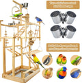 LIMIO Bird Playground - Natural Wood Parrot Playstand with Perches, Bird Play Gym & Accessories, Removable Tray & 4 Stainless Steel Cups