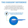 Nutramax Cosequin Original Horse Joint Health Supplement, Powder, 280g