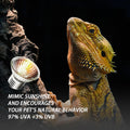 2-Pack 50W UVA Bulbs, Light Turtle Heat Lamp for Reptiles and Amphibian Tanks, Terrariums and Cages, Fit E26 Heat Reptil