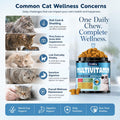 Taurine for Cats Vitamins Treats Snacks – Cat Multivitamin 500 Crunchy & Creamy Chews – Supports Immune, Joints, Digestion, Skin & Coat – Daily Healthy Supplement for Cats of All Ages (90-Day Supply)