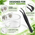 Jumping Spider Feeding Dish 1 Pcs Magnetic Water Bowl for Tarantula