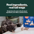 The Farmer's Dog Human-Grade Crunchy Dog Biscuits