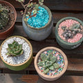 0.88 LB Colored Pea Gravel,Succulent Cactus Topper Dressing Pebbles,3-5mm