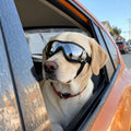 Dog Goggles Large Breeds, Large Dog Sunglasses Eye Protection, Windproof Goggles for Medium Large Dogs Riding Biking Dri