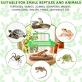 Pinkunn 40 Pcs Plastic Reptile Terrariums Carrier Cage, 5 x 3.5 x 3.5