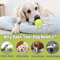 Magicorange Dog Tennis Balls, 20 Pack 2.5 inch Squeaky Tennis Balls