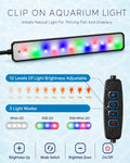 3 Gallon Betta Fish Tank Starter Kit - Negative Pressure Acrylic Aquarium