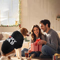 Dog Basic Hoodie Soft Dog Clothes Cold Weather Sweaters for Medium Large Dogs Cozy Fabric Warm Sweatshirt with Leash Hol