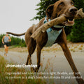 Ruffwear, Front Range Flex Dog Chest Harness