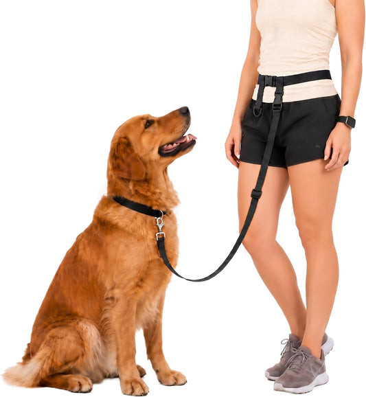 The Buddy System Adjustable Hands Free Dog Leash, Hand-Free Leash for Running, Jogging, Walking, Hiking and Training Service Dogs, Versatile All Dog Sizes - Made in USA - Regular, Black