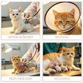 Cat Surgery Recovery Suits Kitten Onesie Body Suit for Cats After Surgery Cat Surgical Suit Female Kitten Post Spay Reco