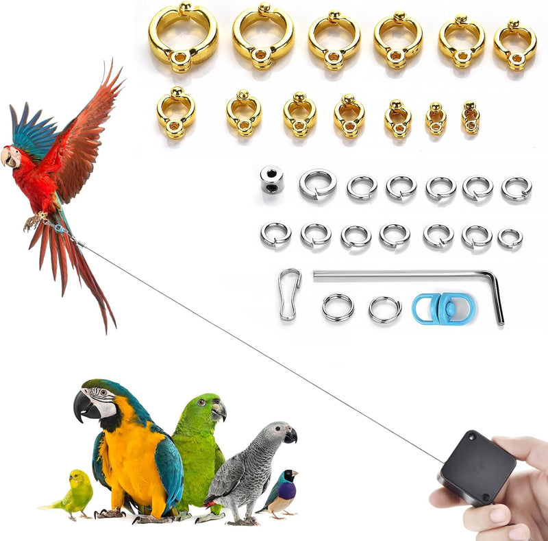 Bird Leash，6.6 Ft, with 13 Different Size Foot Ring （ Gold Color）