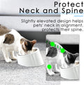 SuperDesign Mess Free 15° Slanted Bowl for Dogs and Cats, Tilted Angle Bulldog Bowl Dog Feeder, Non-Skid & Non-Spill, Easier to Reach Food S/0.5 Cup White