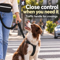 Race&Herd Hands Free Dog Leash with Zip Pouch — Bungee Waist Belt