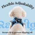 rabbitgoo Dog Harness Small Sized and Leash Set, Step in Soft Vest