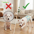 LovinPet Dog Belly Warmer Calming Wrap, Dinosaur Print