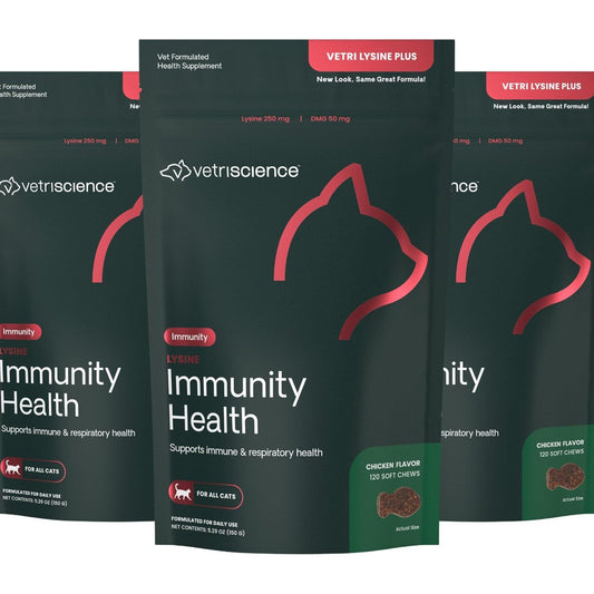 VetriScience Lysine Immunity Health Chews, 250 mg Lysine Plus Immune Supplement for Cats and Kittens with Allergies, Sneezing, Runny Nose and Watery Eyes, Chicken, 3 Pack