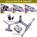 No Pull Dog Harness - Adjustable Reflective Dog Vest with Metal Snap, Soft Breathable Mesh No Choke Puppy Harness, Easy 