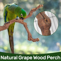 6-Piece Premium Bird Perch Stand with Natural Grape Wood Branch, Paw Grinding Fork, Chewing Stick, Cage Accessories for 