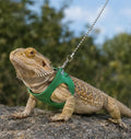 3 Pack Bearded Dragon Leash Set, Adjustable Leopard Gecko Leash for Small Reptile Walking Training(S, M, L)