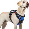 rabbitgoo Dog Harness for Large, Updated Easy On & Off with 3 Buckles