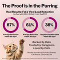 FeLife® Feline Immunity Support, FeLV Viral Load Reduction, 1 Bottle
