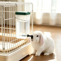 Rabbit Water Bottle, Hanging Small Animal Water Dispenser, 4 Pcs, 32 oz