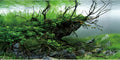 AWERT 48x24 in Branch Aquarium Backdrop Seagrass Fish Tank Background