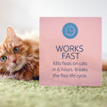 Catego for Cats Flea and Tick Treatment & Prevention (Over 1.5 lbs) 6-Month Supply