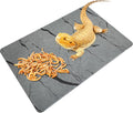 Diatomite Reptile Basking Platform Turtle Feeding Slate11.8x7.9