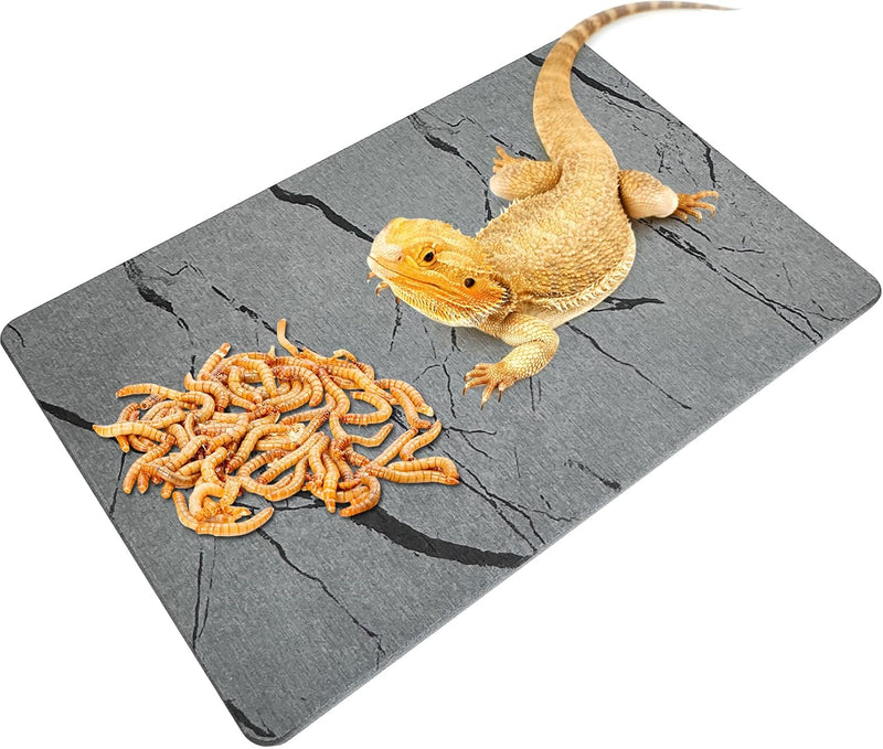 Diatomite Reptile Basking Platform Turtle Feeding Slate11.8x7.9