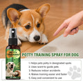 Potty Training Spray for Dogs, Indoor and Outdoor Housebreaking Aid, 120ml