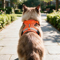 Large Cat Harness and Leash Set, Escape Proof Walking Harness for Big Cats