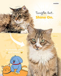 PETHROOM Silicone Cat Brush for Shedding – Gentle Grooming & Relaxing Massage, Light Deshedding Tool, Removes Loose Fur 