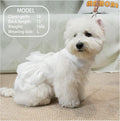 Dog Dress,Pet Wedding Dress Princess Formal Tutu Skirt with Bowknot,Puppy Birthday Party Outfit Apparel Girl for Small Dogs Cats (White, Medium)