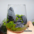 Natural Rocks Slate Stone 1-2.5 Inches Decorative Stones for Miniature Landscaping,Fairy Gardens,Bonsai,DIY Crafts,Aquar