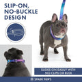 Spark Paws Martingale Dog Collar – Cushioned Slip-On Training Collar