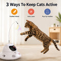 3-in-1 Auto Laser Cat Toy, USB Recharge Motion Activated Kitten Feather Chase Toy