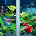 CousDUoBe 2 Pack Betta Fish Leaf Pad Improves Betta's Health by Simulating the Natural Habitat - Natural, Organic, Comfo