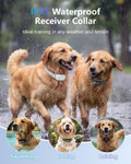 PATPET Shock Collar for Dogs(10-120lbs), 4000ft Rechargeable IPX7 Waterproof Training Collar with Remote for 2 Dogs- Ele