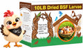Classic Flock 10lb Dried Black Soldier Fly Larvae Chicken Feed,100% Natural Non-GMO BSF Larvae,More Calcium Than Mealworms,High Protein Chickens Treats, Food for Wild Birds, Ducks, Laying Hens