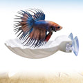 Betta Fish Hammock Shell, Shell Bed with Strong Suction Cup (White)