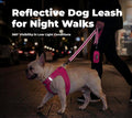 Best Pet Supplies Voyager Reflective Dog Leash or Collar with Neoprene Handle, for Small, Medium, and Large Breed Puppies, Cute and Heavy Duty for Walking, Running and Training - Fuchsia (Leash), S