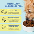 The Pets Table Chicken & Sweet Potato Air Dried Dog Food, 1 lb / 16 oz Bag