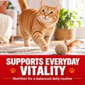 Jakkies NAD+ Support Chews for Cats