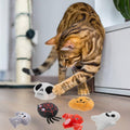 6pcs Halloween Catnip Toy，Indoor Pumpkin Ghost Shaped Cat Toy Plush Interactive Chew Bite Toys for Cat Kitten Indoor Fes
