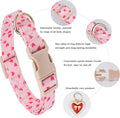 Dog Collar for Small, Medium & Large Dogs(PinkHeart,S)
