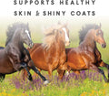 Sho-Glo Horse Vitamin & Mineral Supplement, 25 lb Bag