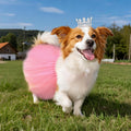 2 Pcs Dog Tutu Dress with Pearl Crown for Small Medium Pet Cat Dog Halloween Costume Dress for Ballet Birthday Party Wed